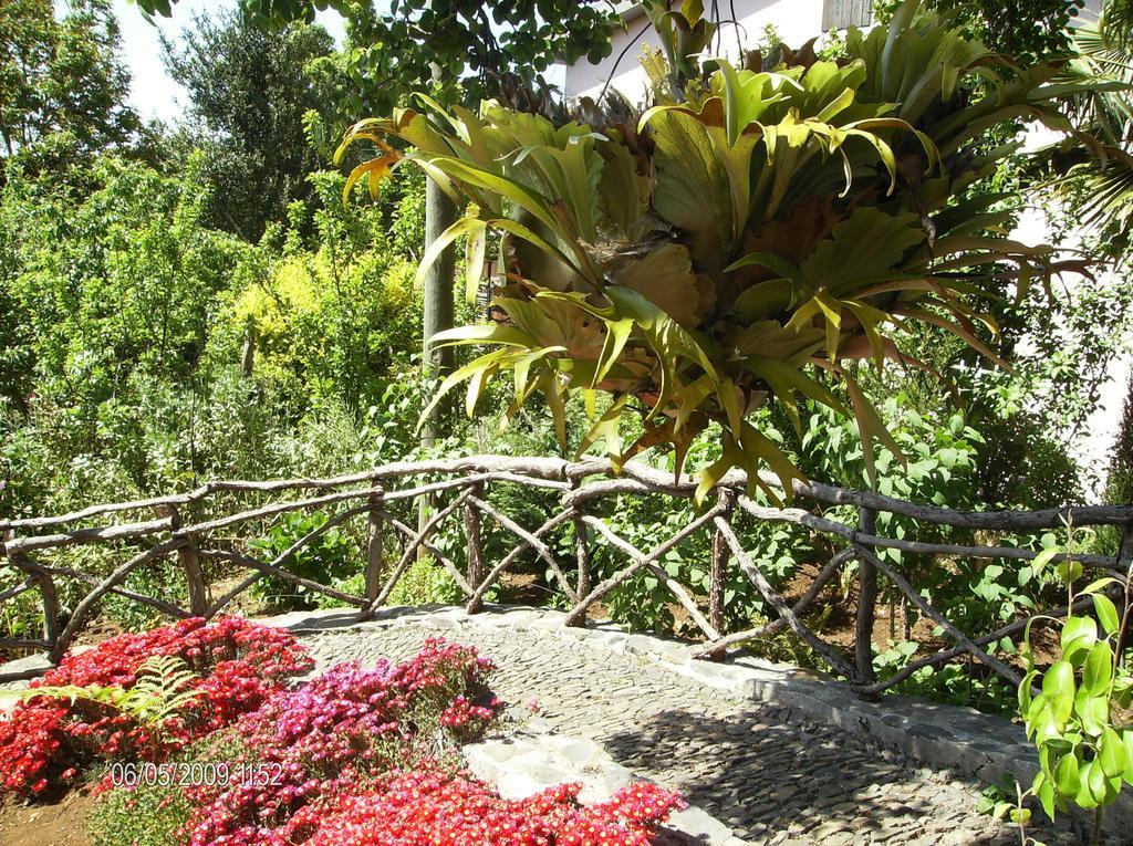 Casa Rosa Villa Camacha  Rom bilde